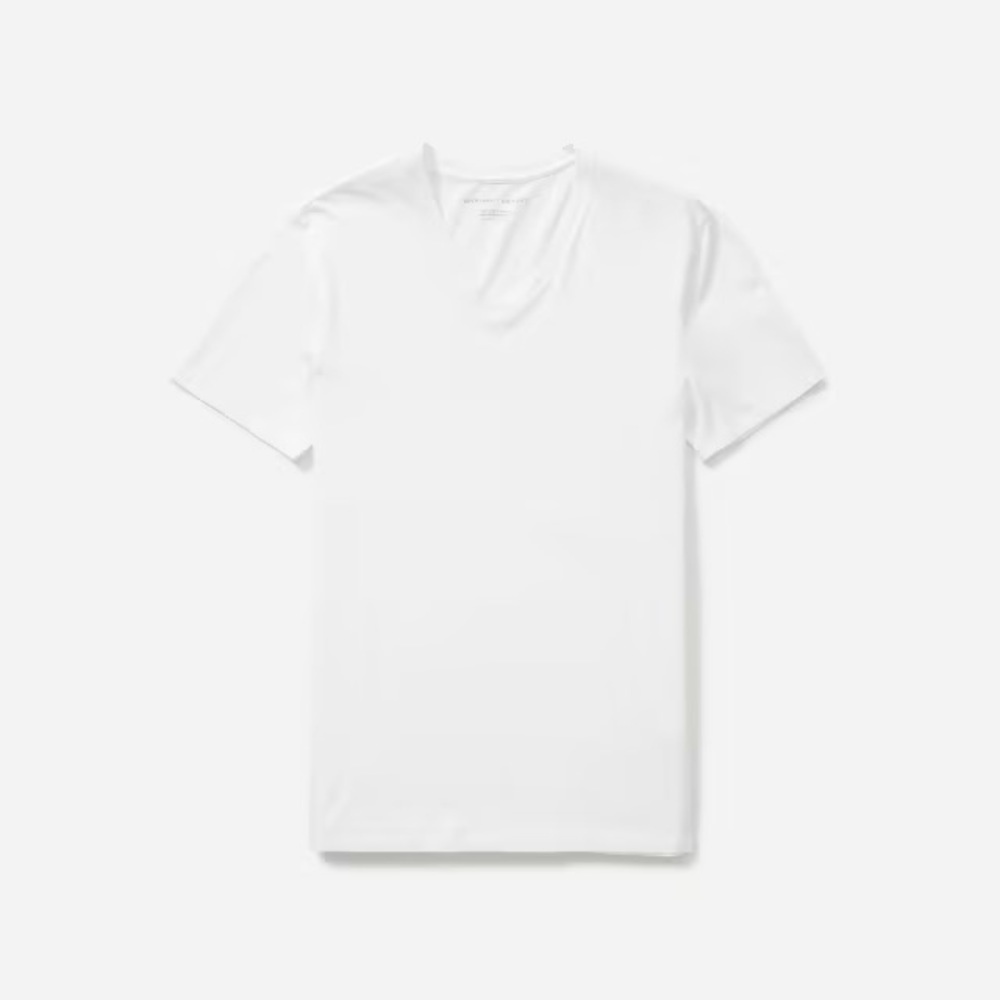 Men’s Everlane unworn with tags medium cotton v-neck t-shirts (set of two).